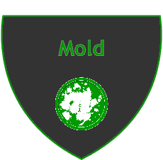 test for mold
